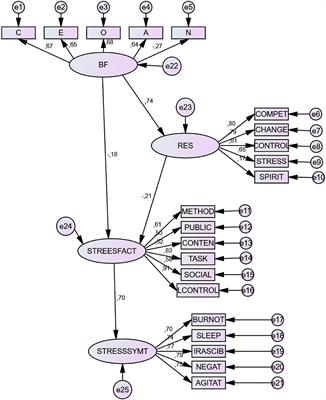 Resilience as a Buffering Variable Between the Big Five Components and Factors and Symptoms of Academic Stress at University